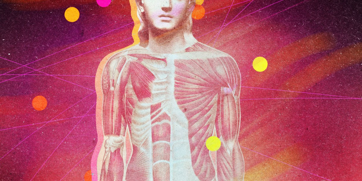 Researchers are decoding how signals move between body and brain, with implications for how we understand and treat conditions from obesity to anxiety.