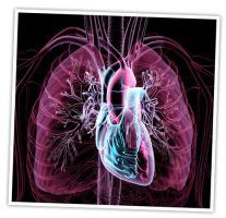 Join us here at National Geographic Kids to discover fifteen fascinating facts about the human body. Check out cool human body photos, too!
