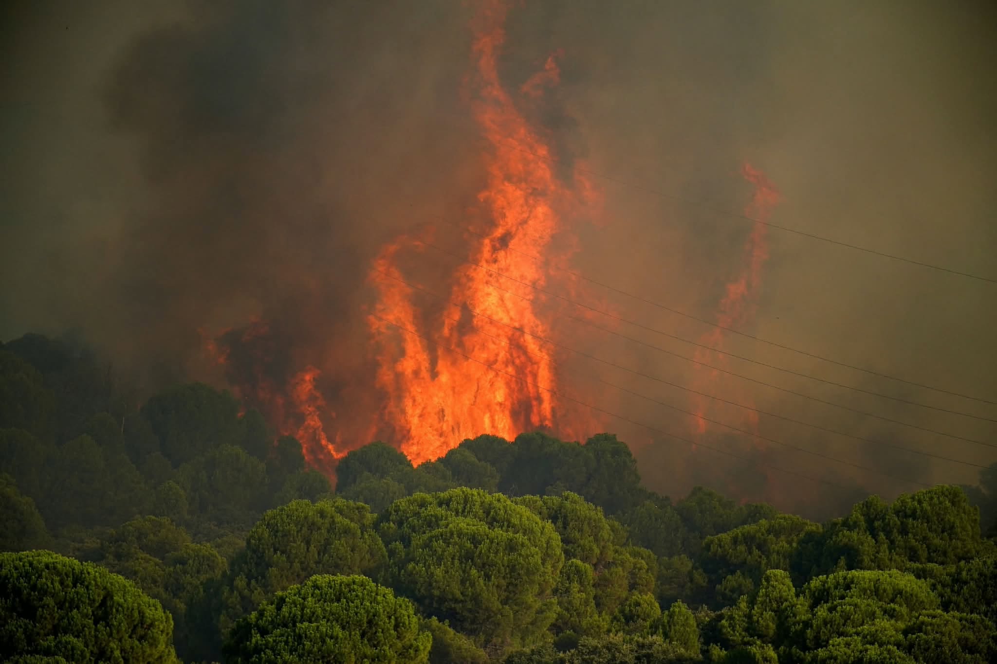 Historic Wildfires Sweep Across France And Spain has 8 comments.