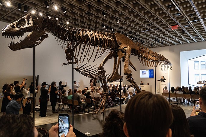 "Gus" The T. rex Fetches A Staggering $50.1 Million At Auction has 35 comments.