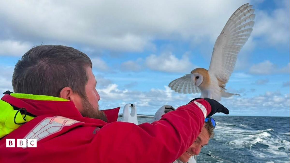 Little Reg was saved by an Army crew after being found about 70 miles from shore. 