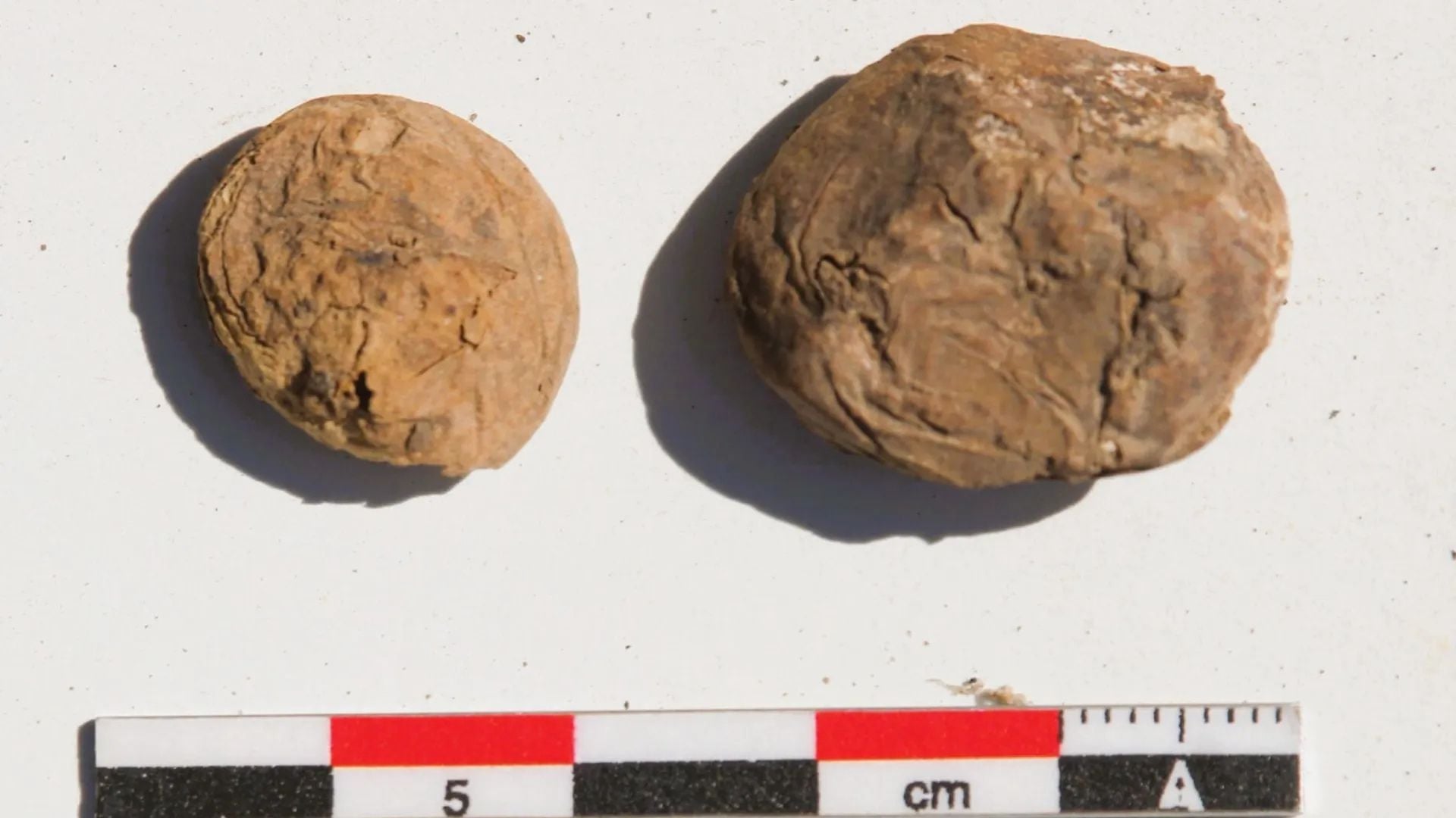 500-Year-Old Potatoes Found Intact In Peru has 16 comments.